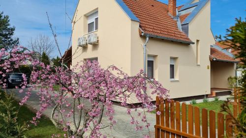 Lenti Apartment | Anna villa