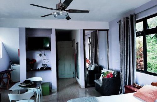Mahe Island Apartment | Anne Hillside Apartment