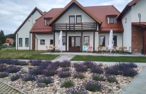Tolkmicko Bed & Breakfast | Antówka