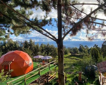 Quinua Other | Antawara Glamping