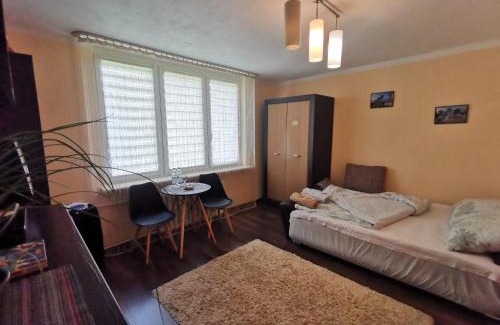 Pulawy Apartment | Aparatament PUŁAWY Centrum