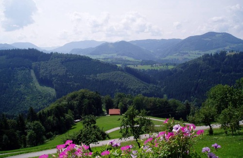 Waidhofen An Der Ybbs Apartment | Apartment ∙ 1 bedroom ∙ 2 guests