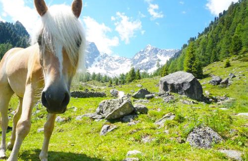 Sankt Leonhard im Pitztal Apartment | Apart Knabl