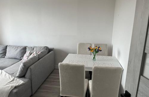 Zagan Apartment | Apartament 2 pokojowy w Centrum Miasta