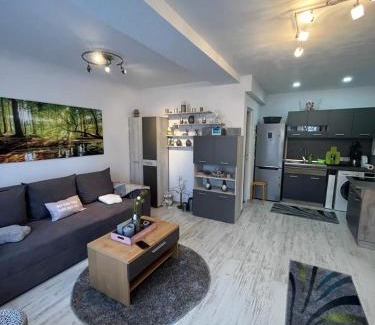 Sfantu Gheorghe Apartment | Apartament Acasa Sf.Gheorghe