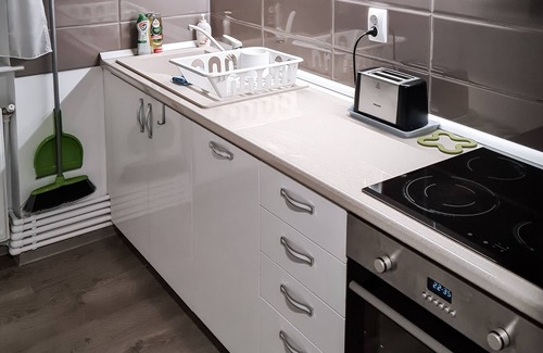 Emanoil Gojdu Apartment | Apartament Alina