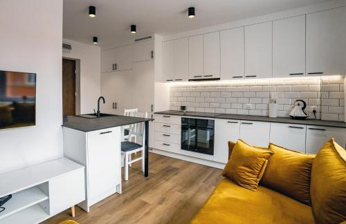 Lidzbark Warminski Apartment | Apartament Alpaka 2