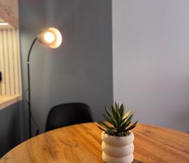Wilda Apartment | Apartament Bergera Olive Hill-2 pokoje