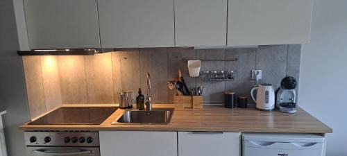 Plock Apartment | Apartament Blue
