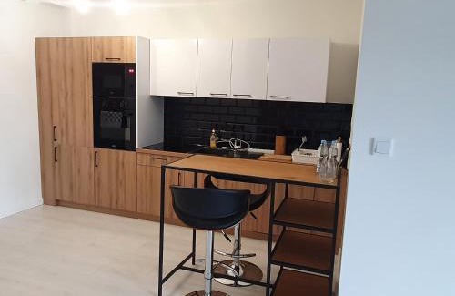 Leszno Apartment | Apartament Business & Parking Sienkiewicza