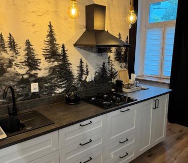 Sobotka Apartment | Apartament Chopina