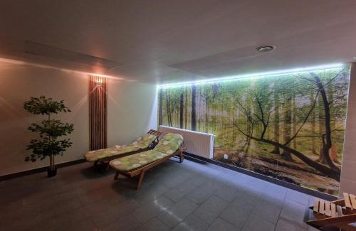 Miedzygorze Apartment | Apartament Czarna Góra 20