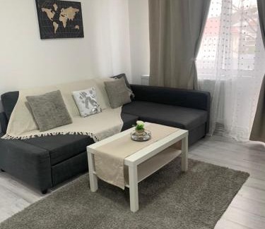Barlad Apartment | Apartament Elena