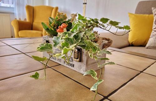 Odorheiu Secuiesc Apartment | Apartament Flora