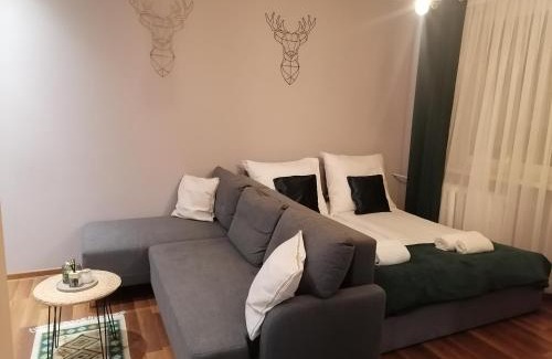 Zabrze Apartment | Apartament Gagarina 31