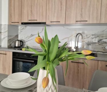 Olsztynek Apartment | Apartament Jagiełły Park Olsztynek