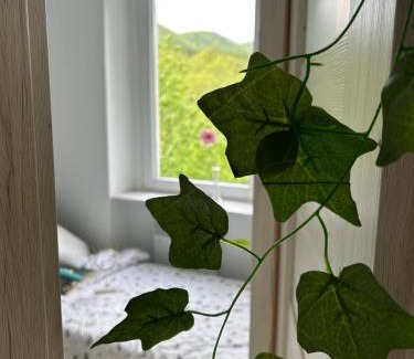 Jedlina-Zdroj Apartment | Apartament Jedlinka