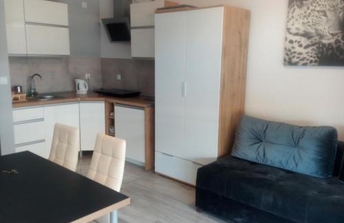 Darlowko Apartment | Apartament Kapitana przy plazy typu studio