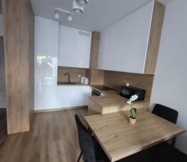 Brodnica Apartment | Apartament Karbowo