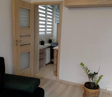 Zamosc Apartment | Apartament Kinga