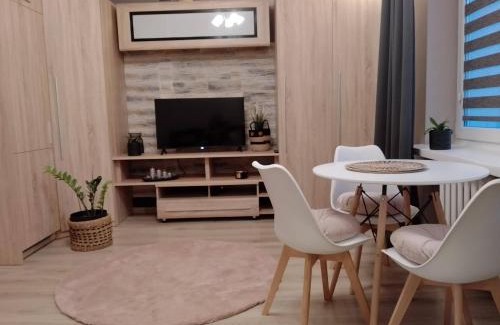 Zamosc Apartment | Apartament Kinga