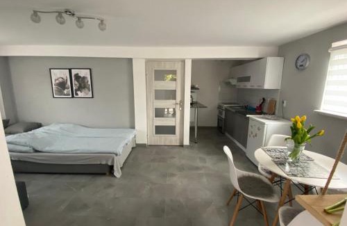 Wisla Mala Apartment | Apartament Lotos