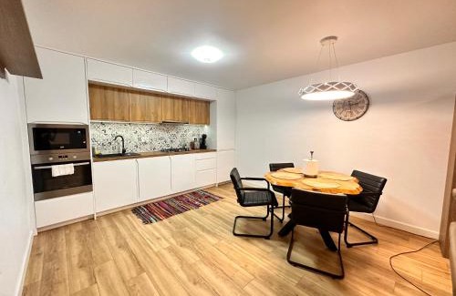 Suceava County Apartment | Apartament modern in Vila, cu curte proprie la 2km de centrul Sucevei