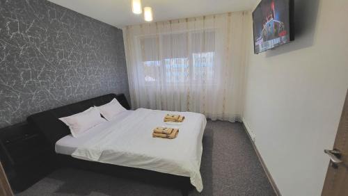 Onesti Apartment | Apartament NAVI