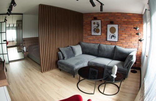 Gliwice Apartment | Apartament NEPTUN Centrum