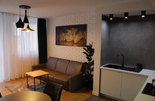 Nowy Sacz Apartment | Apartament Nowy Sącz