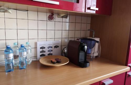 Piecki-Migowo Apartment | APARTAMENT