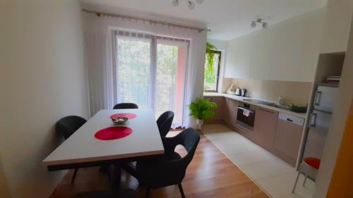 Wzgorza Krzeslawickie Apartment | Apartament