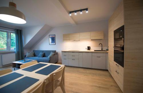 Szklarska Poreba Apartment | Apartament Pod Reglami