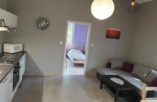 Skarszewy Apartment | Apartament pod Sosnami 2 noclegi OTW Borówno WLK Skarszewy