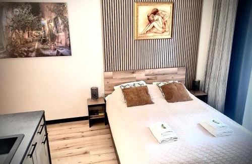 Elblag Apartment | Apartament przy Starówce z tarasem