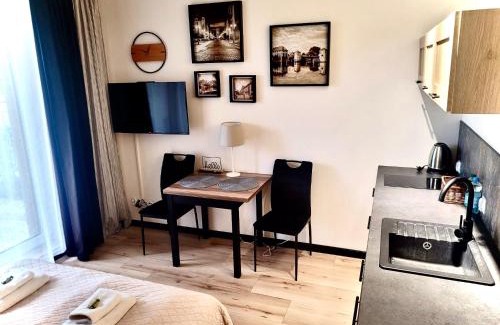 Elblag Apartment | Apartament przy Starówce z tarasem