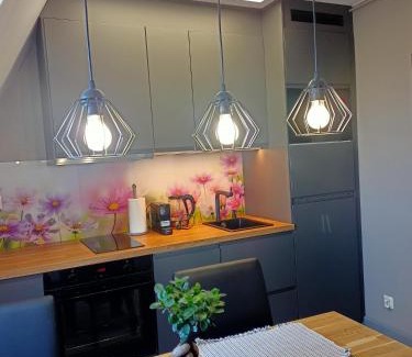 Gliwice Apartment | Apartament Radiostacja, parking free, klimatyzacja
