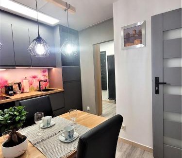 Gliwice Apartment | Apartament Radiostacja, parking free, klimatyzacja