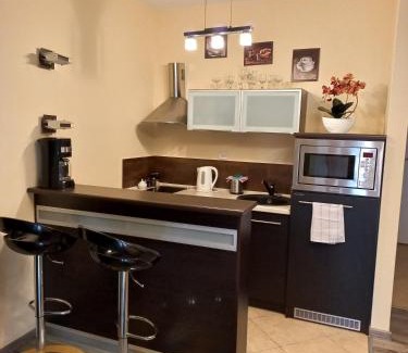 Grzybowo Apartment | Apartament Słoneczny Bałtyk-Grzybowo rowery w cenie