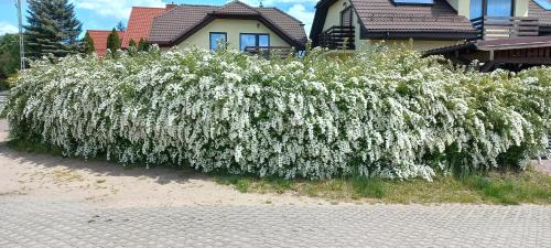 Osowa Apartment | Apartament Słoneczny