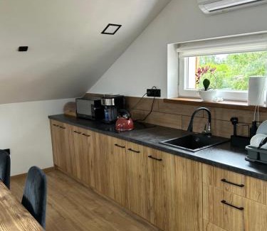 Stare Sady Apartment | Apartament Sady
