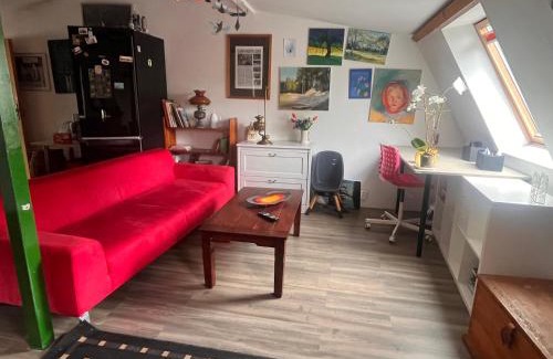 Leoncin Apartment | Apartament-samodzielne mieszkanie-Agroturystyka-puszcza kampinoska