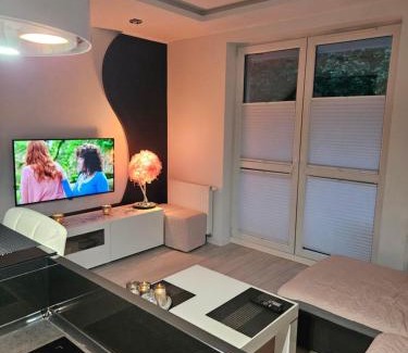Malbork Apartment | Apartament Silver