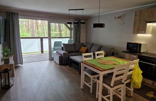 Skarszewy Apartment | Apartament Sosny 2,1 nad jeziorem OTW Borówno Wielkie