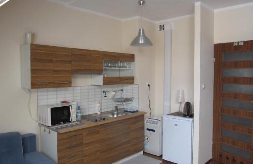Gizycko Apartment | Apartament Studio