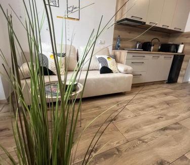 Biala Podlaska Apartment | Apartament Sukces