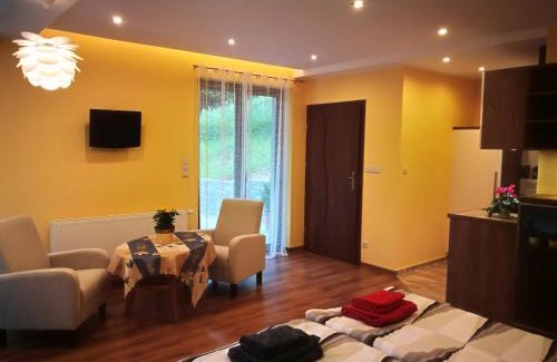 Piwniczna-Zdroj Apartment | Apartament u Joli