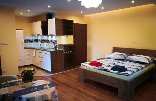 Piwniczna-Zdroj Apartment | Apartament u Joli
