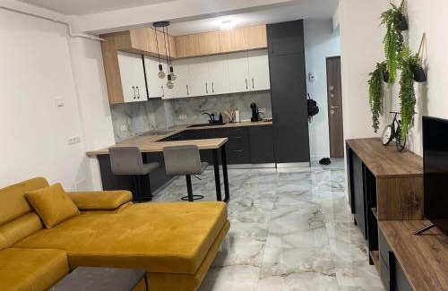 Sebes Apartment | Apartament Urban Chic