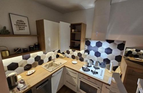 Zuromin Apartment | Apartament w Centrum